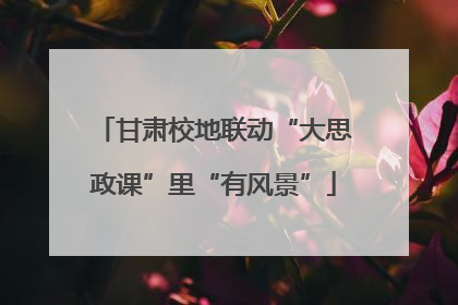 甘肃校地联动“大思政课”里“有风景”