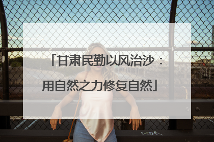 甘肃民勤以风治沙：用自然之力修复自然