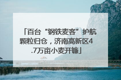 百台“钢铁麦客”护航颗粒归仓，济南高新区4.7万亩小麦开镰