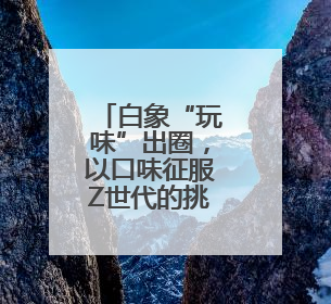 白象“玩味”出圈，以口味征服Z世代的挑剔胃
