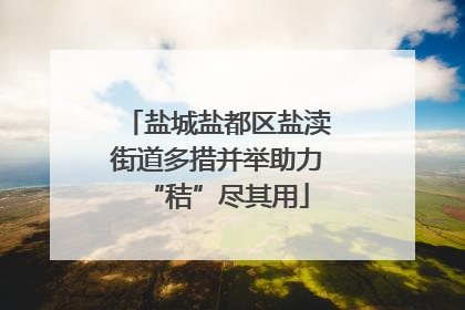 盐城盐都区盐渎街道多措并举助力“秸”尽其用