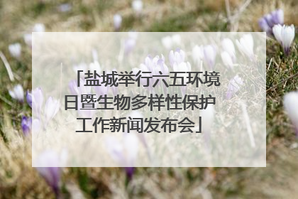 盐城举行六五环境日暨生物多样性保护工作新闻发布会