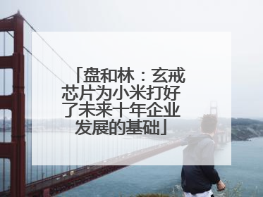 盘和林：玄戒芯片为小米打好了未来十年企业发展的基础