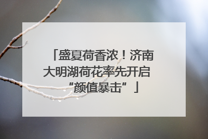 盛夏荷香浓！济南大明湖荷花率先开启“颜值暴击”
