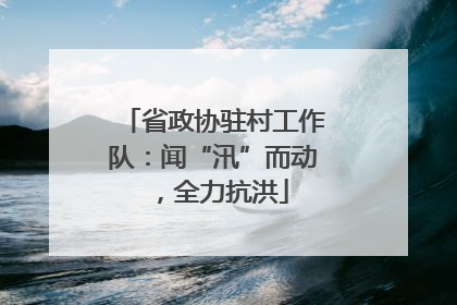 省政协驻村工作队：闻“汛”而动，全力抗洪