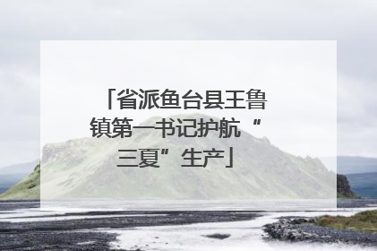 省派鱼台县王鲁镇第一书记护航“三夏”生产