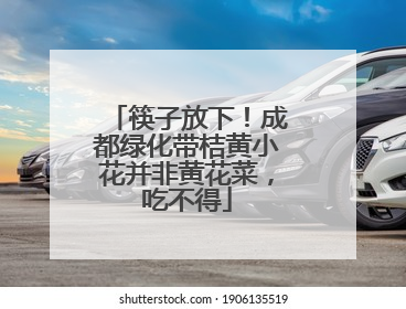 筷子放下！成都绿化带桔黄小花并非黄花菜，吃不得