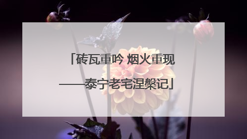 砖瓦重吟 烟火重现——泰宁老宅涅槃记