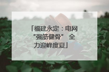 福建永定：电网“强筋健骨” 全力迎峰度夏