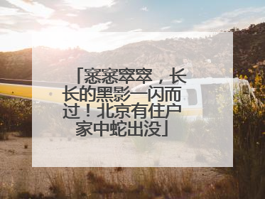 窸窸窣窣，长长的黑影一闪而过！北京有住户家中蛇出没