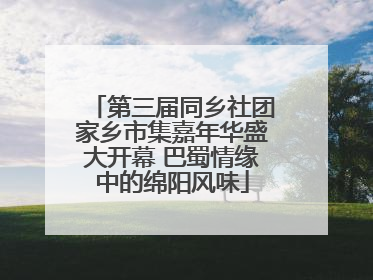 第三届同乡社团家乡市集嘉年华盛大开幕 巴蜀情缘中的绵阳风味