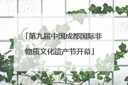 第九届中国成都国际非物质文化遗产节开幕