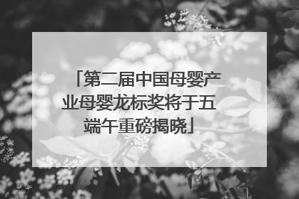 第二届中国母婴产业母婴龙标奖将于五端午重磅揭晓