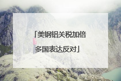 美钢铝关税加倍 多国表达反对