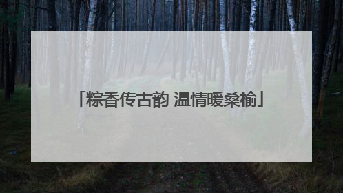 粽香传古韵 温情暖桑榆