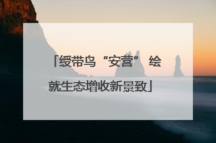 绶带鸟“安营” 绘就生态增收新景致
