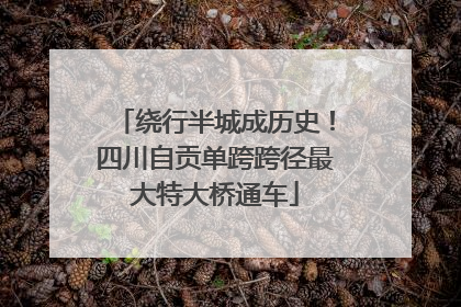 绕行半城成历史！四川自贡单跨跨径最大特大桥通车
