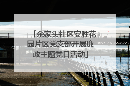 余家头社区安胜花园片区党支部开展廉政主题党日活动