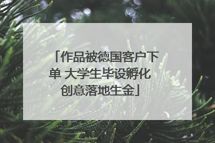作品被德国客户下单 大学生毕设孵化创意落地生金