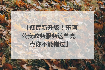 便民新升级！东阿公安政务服务这些亮点你不能错过