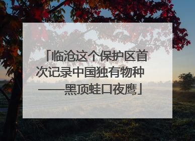 临沧这个保护区首次记录中国独有物种——黑顶蛙口夜鹰