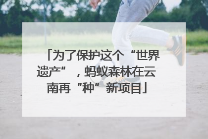 为了保护这个“世界遗产”，蚂蚁森林在云南再“种”新项目
