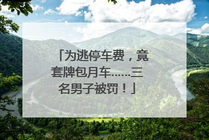 为逃停车费，竟套牌包月车……三名男子被罚！