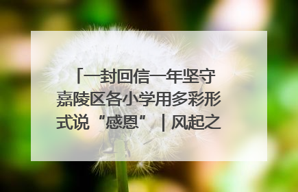 一封回信一年坚守 嘉陵区各小学用多彩形式说“感恩”｜风起之江 扶摇直上