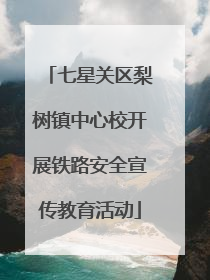 七星关区梨树镇中心校开展铁路安全宣传教育活动