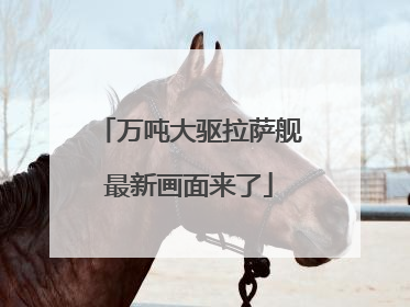 万吨大驱拉萨舰最新画面来了
