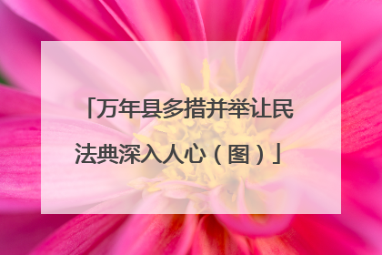 万年县多措并举让民法典深入人心（图）