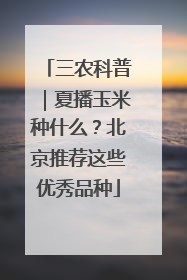 三农科普｜夏播玉米种什么？北京推荐这些优秀品种