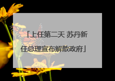 上任第二天 苏丹新任总理宣布解散政府