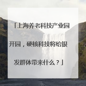 上海养老科技产业园开园，硬核科技将给银发群体带来什么？