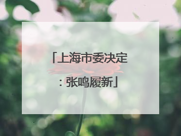 上海市委决定：张鸣履新