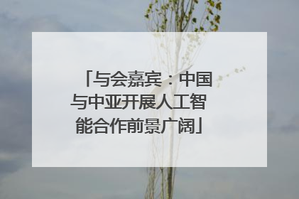 与会嘉宾：中国与中亚开展人工智能合作前景广阔