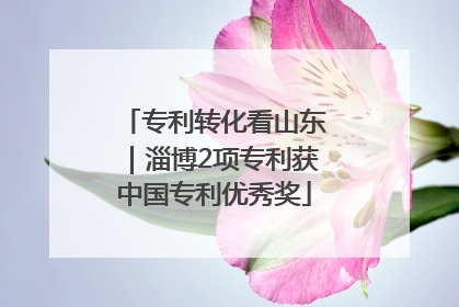 专利转化看山东｜淄博2项专利获中国专利优秀奖