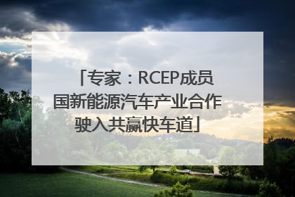 专家：RCEP成员国新能源汽车产业合作驶入共赢快车道