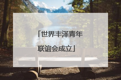 世界丰泽青年联谊会成立