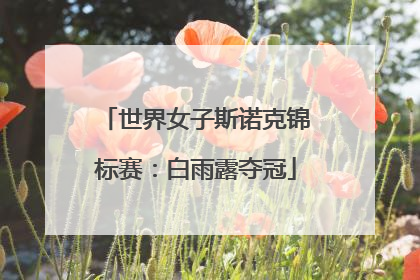 世界女子斯诺克锦标赛：白雨露夺冠