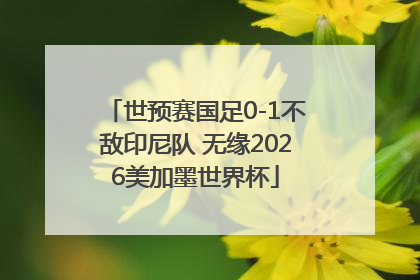 世预赛国足0-1不敌印尼队 无缘2026美加墨世界杯