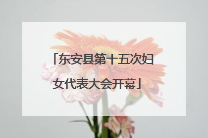 东安县第十五次妇女代表大会开幕