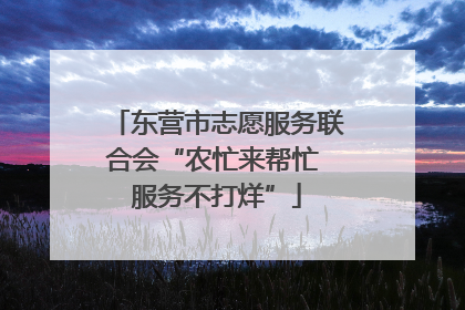 东营市志愿服务联合会“农忙来帮忙 服务不打烊”