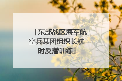 东部战区海军航空兵某团组织长航时反潜训练