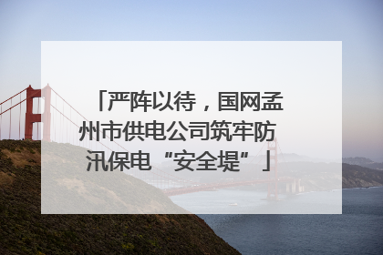 严阵以待，国网孟州市供电公司筑牢防汛保电“安全堤”