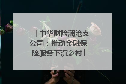 中华财险澜沧支公司：推动金融保险服务下沉乡村