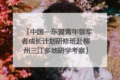 中国—东盟青年领军者成长计划研修班赴柳州三江多地研学考察