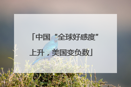 中国“全球好感度”上升，美国变负数