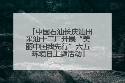 中国石油长庆油田采油十二厂开展“美丽中国我先行”六五环境日主题活动