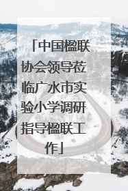 中国楹联协会领导莅临广水市实验小学调研指导楹联工作